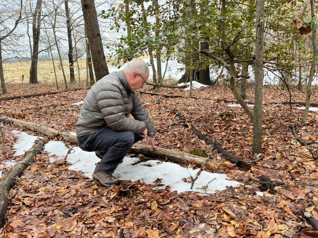 Photo by VICTORIA LAVELLE / AFP  Marc Schindler, research professor at Georgetown University's Center for Youth Justice, inspects an area were hundreds of graves have been found on the grounds of the House of Reformation for Colored Children, a closed down segregated juvenile detention facility that operated in the late 19th and early 20th century, in Cheltenham, Maryland, on February 17, 2026.