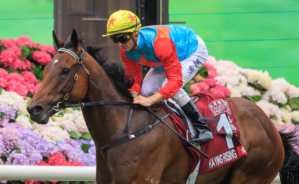 Ka Ying Rising will be aiming for 14 straight wins om November 23 GRANT COURTNEY 