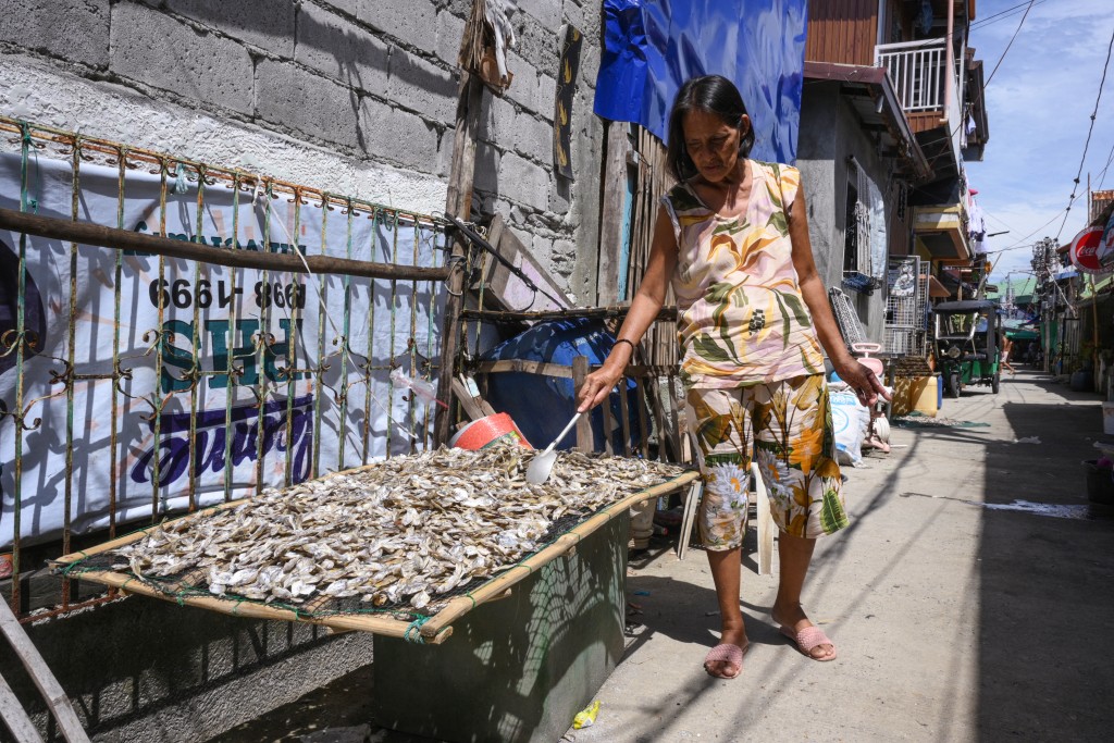 Photo by TED ALJIBE / AFP  In this photo taken on October 13, 2026, Arsenia Cabigao, 58, sun dries fish at Pamarawan Island in Malolos City, Bulacan province.