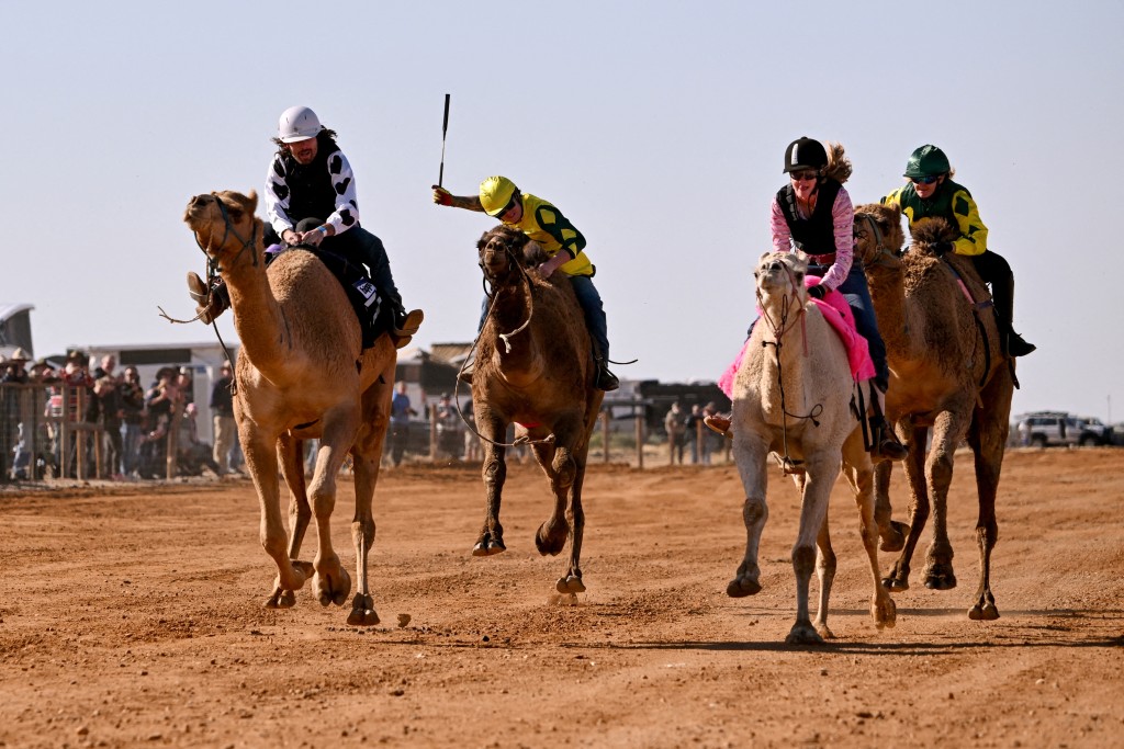 Photo by WILLIAM WEST / AFP  A file photo taken on June 27, 2026 shows jockey Patrick Dennis (L) riding camel Young Gun to victory in the Marree Australasian Camel Cup in the South Australian outback town of Marree.