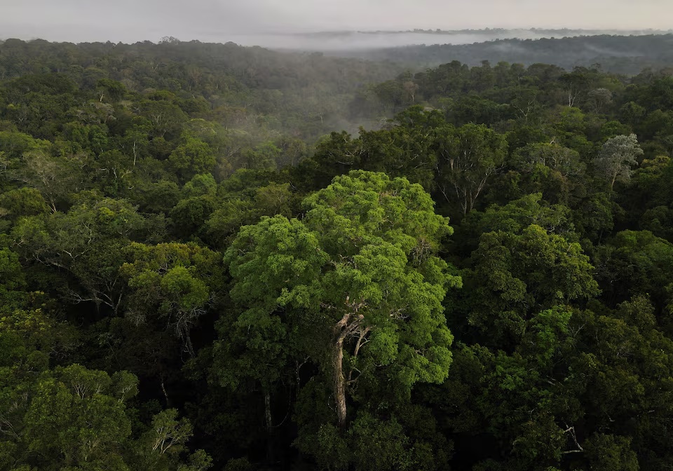An aerial view shows trees as the sun rises at the Amazon rainforest in Manaus, Amazonas State, Brazil October 26, 2022. REUTERS/Bruno Kelly/File Photo