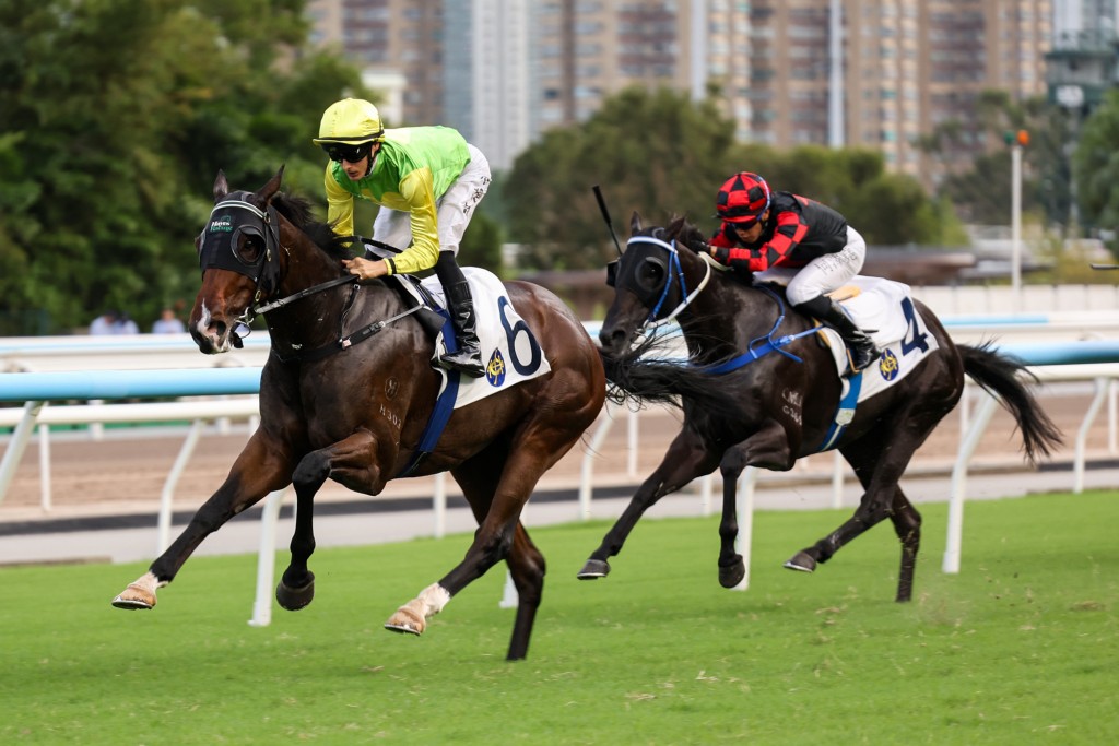 Tomodachi Kokoroe hits a career-high last start but can he do it again on Sunday? 