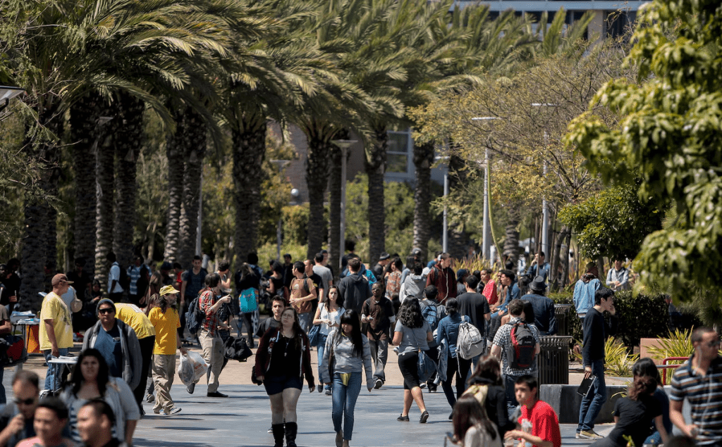 Students walk through campus between classes at Santa Monica College in Santa Monica, California April 4, 2012. REUTERS/Bret Hartman/File Photo