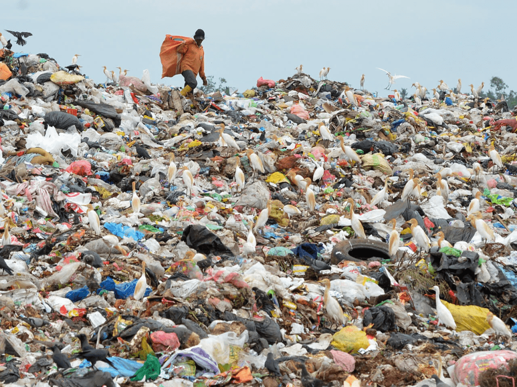 Plastic waste has been found from the bottom of the seas to the tops of mountains © LAKRUWAN WANNIARACHCHI / AFP