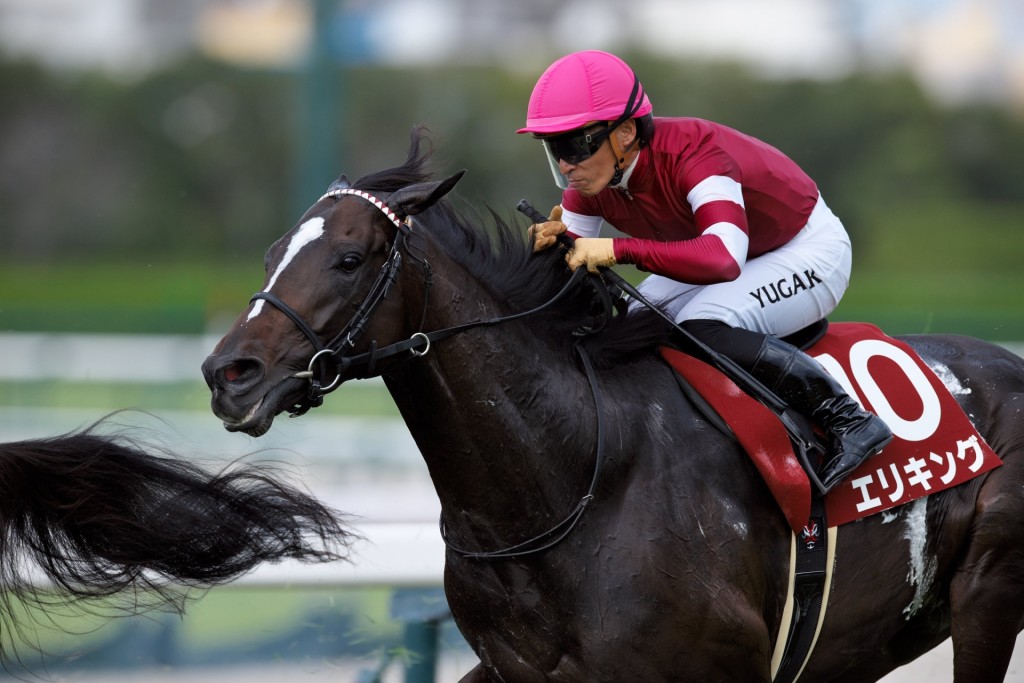 Eri King wins the 2025 G2 Kobe Shimbun Hai at Hanshin (@noreason0330)