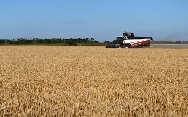 A combine harvests wheat in a field in the Rostov Region, Russia July 18, 2026. REUTERS/Sergey Pivovarov