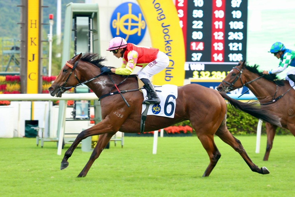 My Wish makes it two-from-two this season with a second-up win in the G2 Sha Tin Trophy (Sing Tao) 