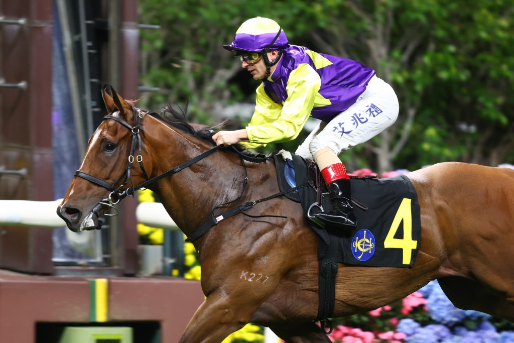 Colourful King has strong Happy Valley form and returns on a rating of 86 (HKJC) 
