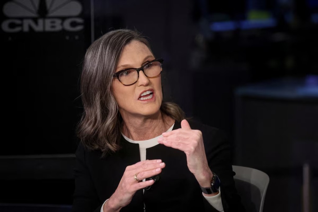 Cathie Wood, CEO of Ark Invest, speaks during an interview on CNBC on the floor of the New York Stock Exchange (NYSE) in New York City, U.S., February 27, 2023. REUTERS