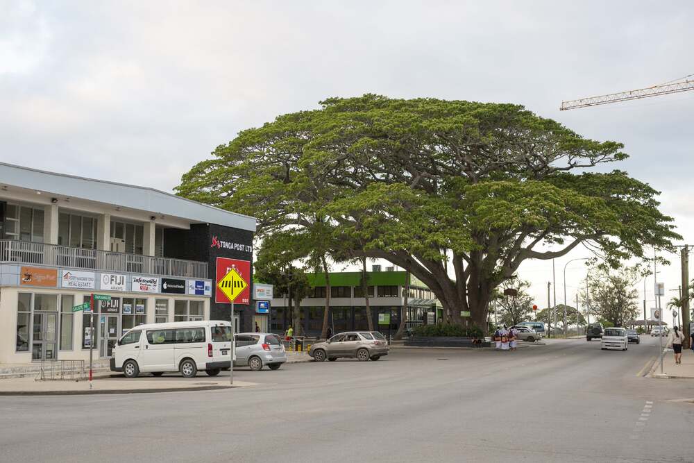 Downtown Nuku'alofa. ((2023, March 4). In Wikipedia. https://en.wikipedia.org/wiki/Nuku%CA%BBalofa) Downtown Nuku'alofa. ((2023, March 4). In Wikipedia. https://en.wikipedia.org/wiki/Nuku%CA%BBalofa)