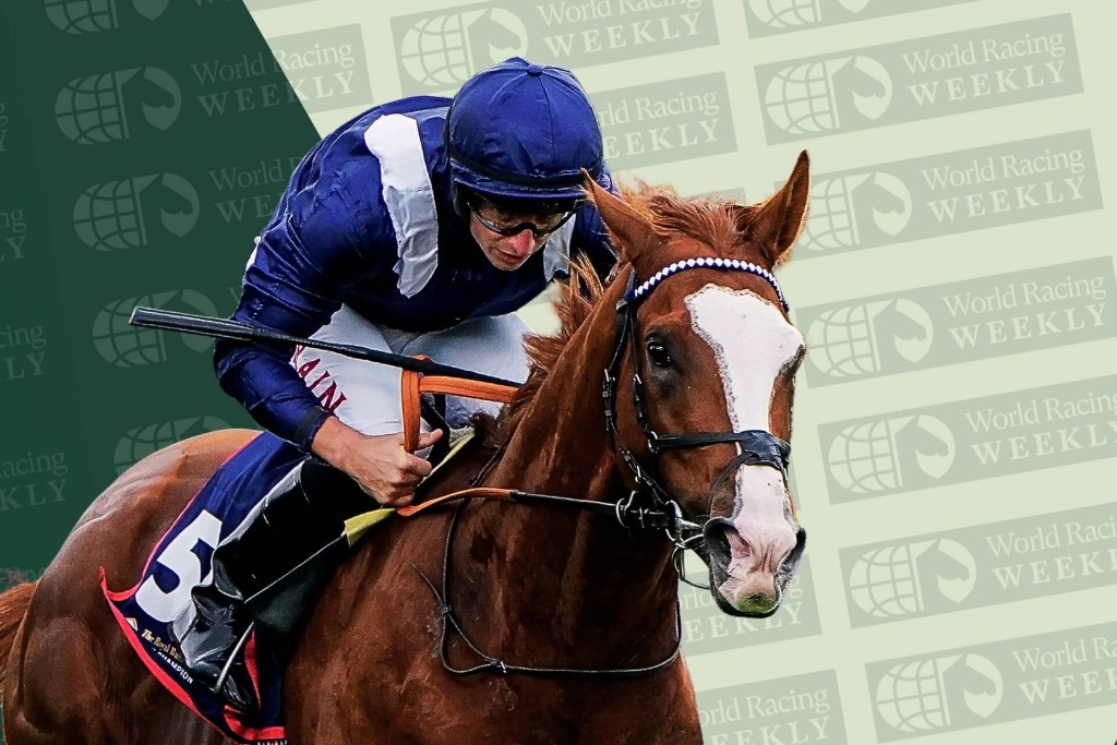 Economics, Tom Marquand (Idol Horse) 