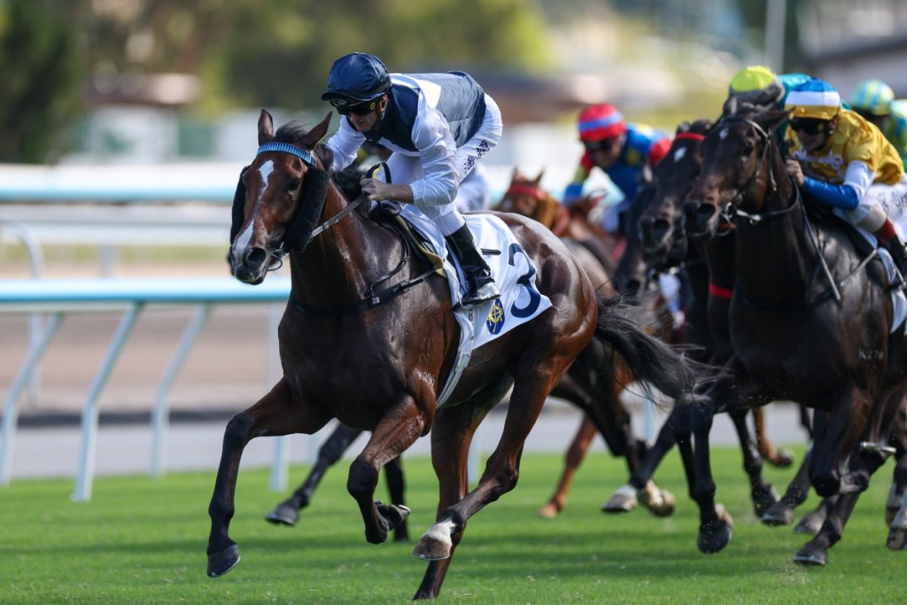 Invincible Ibis is soaring up the ratings and is set for a start in the 2026 Hong Kong Classic Mile. HKJC