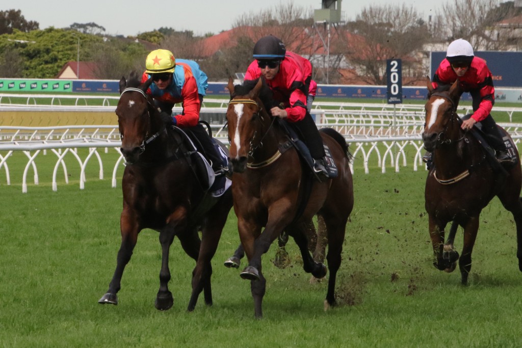 Ka Ying Rising (yellow cap) trials at Royal Randwick with Zac Purton.