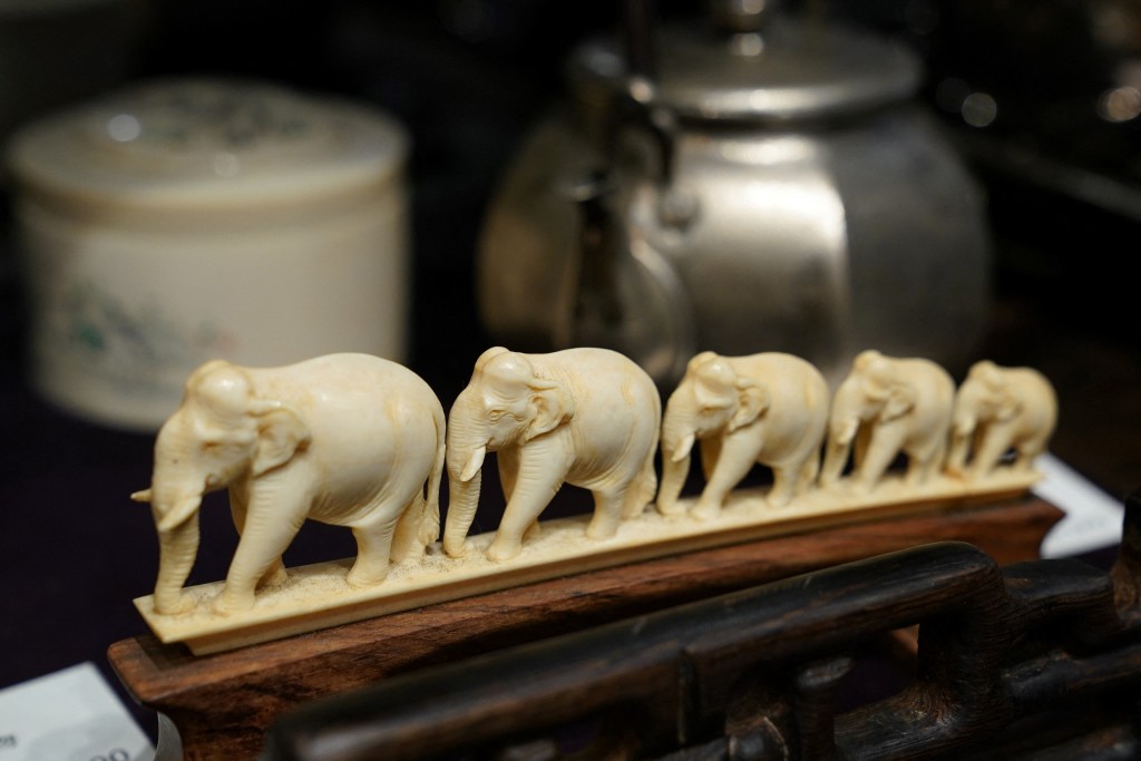 Photo by KAZUHIRO NOGI / AFP  This photo taken on December 4, 2025 shows an elephant figurine made of ivory displayed at an antiquities shop in Tokyo.