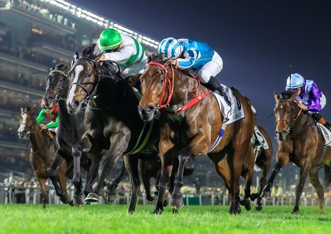 Romantic Warrior loses in a photo-finish to Soul Rush in the Group 1 Dubai Turf at Meydan Racecourse, ending an audacious three-race campaign in the Middle East under James McDonald. (Grant Courtney, Idol Horse)