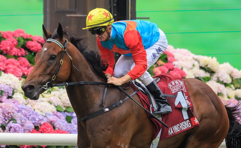 KA YING RISING, ZAC PURTON / G1 Chairman’s Sprint Prize // Sha Tin /// 2025 //// Photo by Grant Courtney
