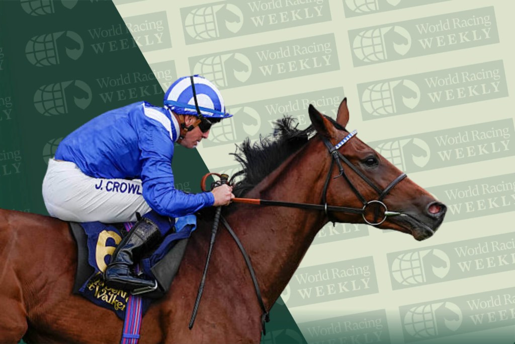 Raaheeb, Jim Crowley / Ascot // 2025 /// Photo by Alan Crowhurst; Illustration by Idol Horse