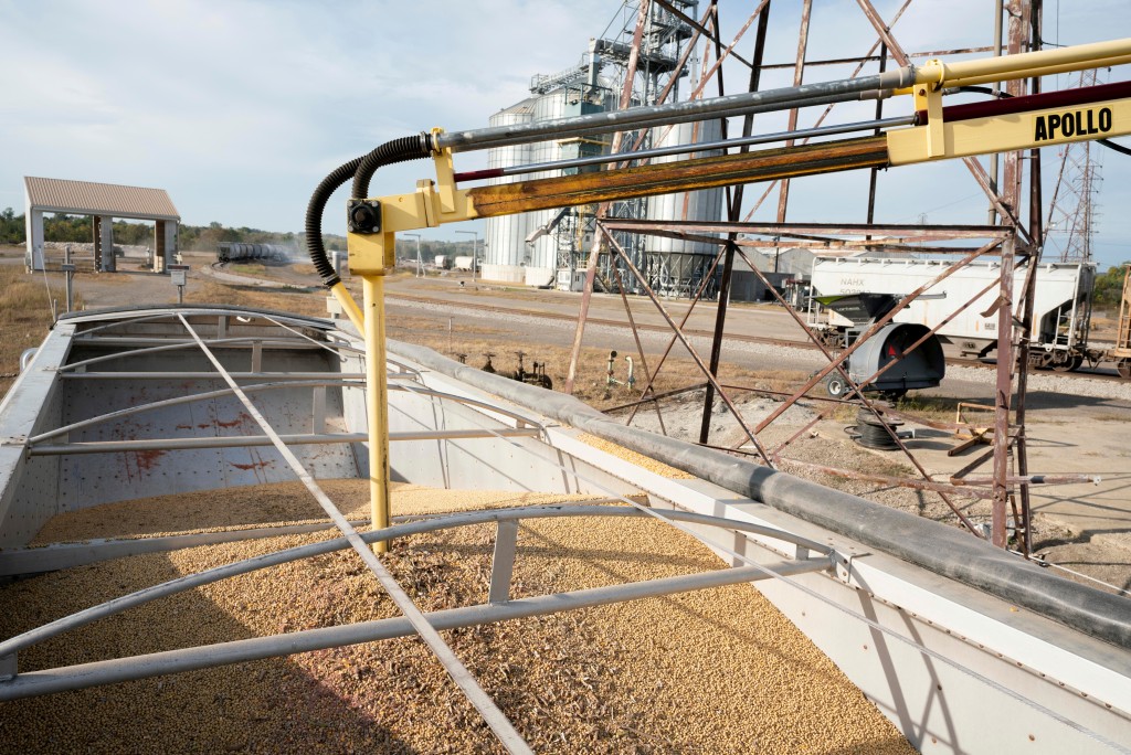 A soybean delivery is sampled during harvest season at Deerfield AG Services grain elevator facility in Massillon, Ohio, U.S., October 7, 2021. Picture taken October 7, 2021. REUTERS/Dane Rhys