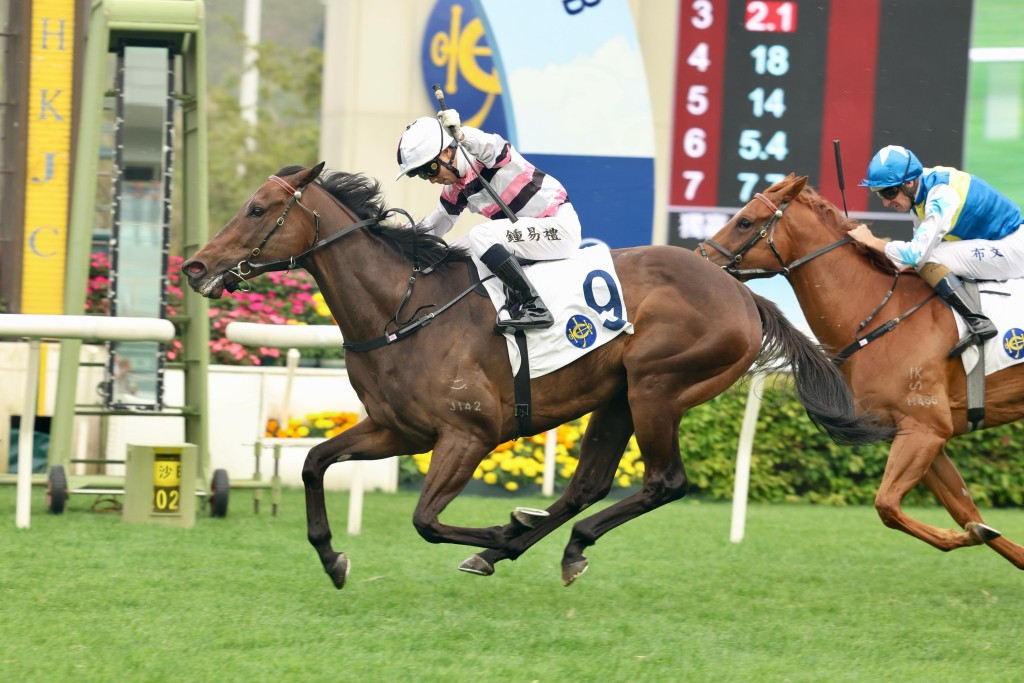 Angus Chung caps the day with three victories aboard Divano.