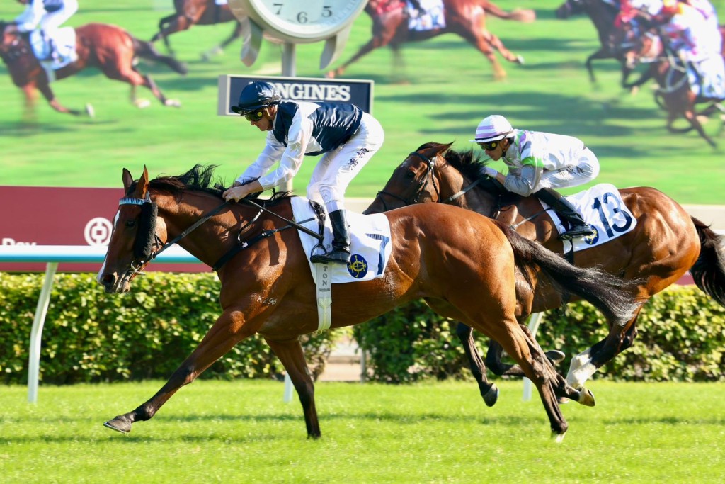 Invincible Ibis dominates in Class 3. Mark Newnham says the four-year-old strikes a similar profile to My Wish SINGTAO