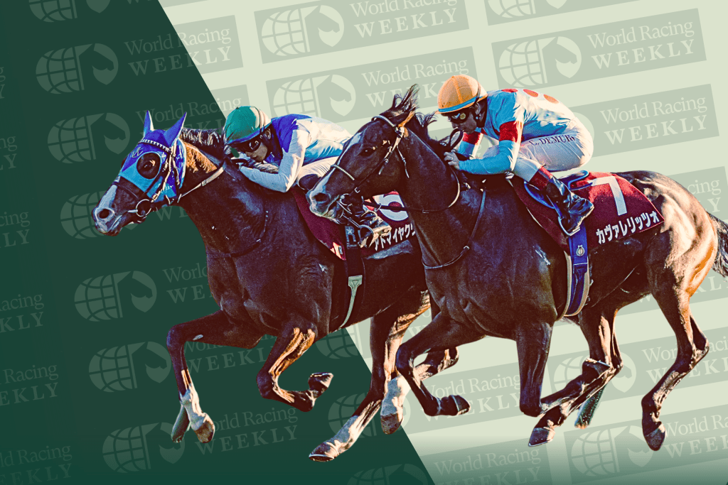 and Admire Quads (left) and Caverizzo (right) in the G2 Daily Hai Nisai Stakes at Kyoto. Idol Horse/@cilkai_horsepic