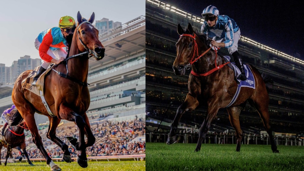 Ka Ying Rising and Romantic Warrior. HKJC