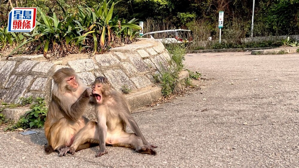 (File photo) (File photo)