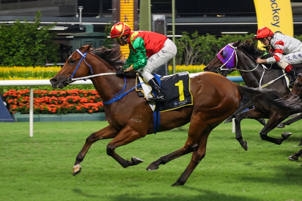 Jumbo Blessing eyes four straight Happy Valley 1,000 meter wins on Sunday. HKJC