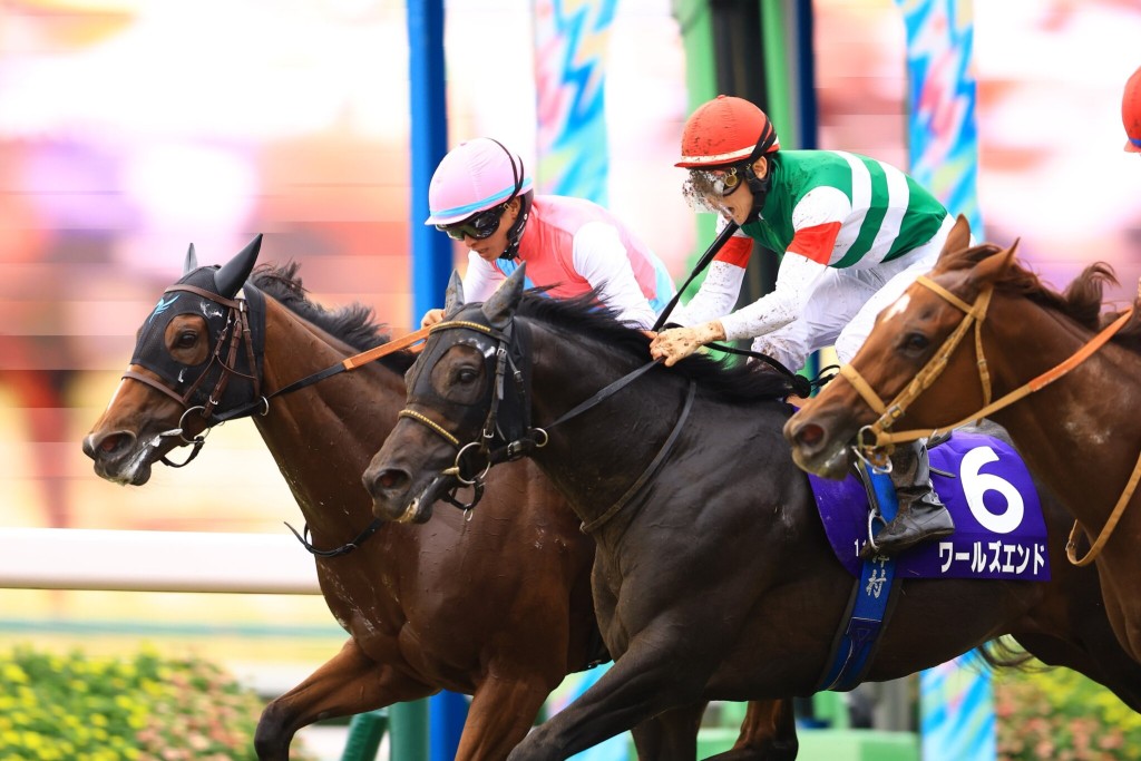 PURO MAGIC, MIRAI IWATA (L) / G1 Sprinters Stakes // Nakayama /// 2026 //// Photo by Shuhei Okada