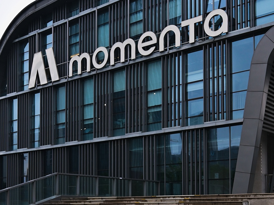 Momenta Global.