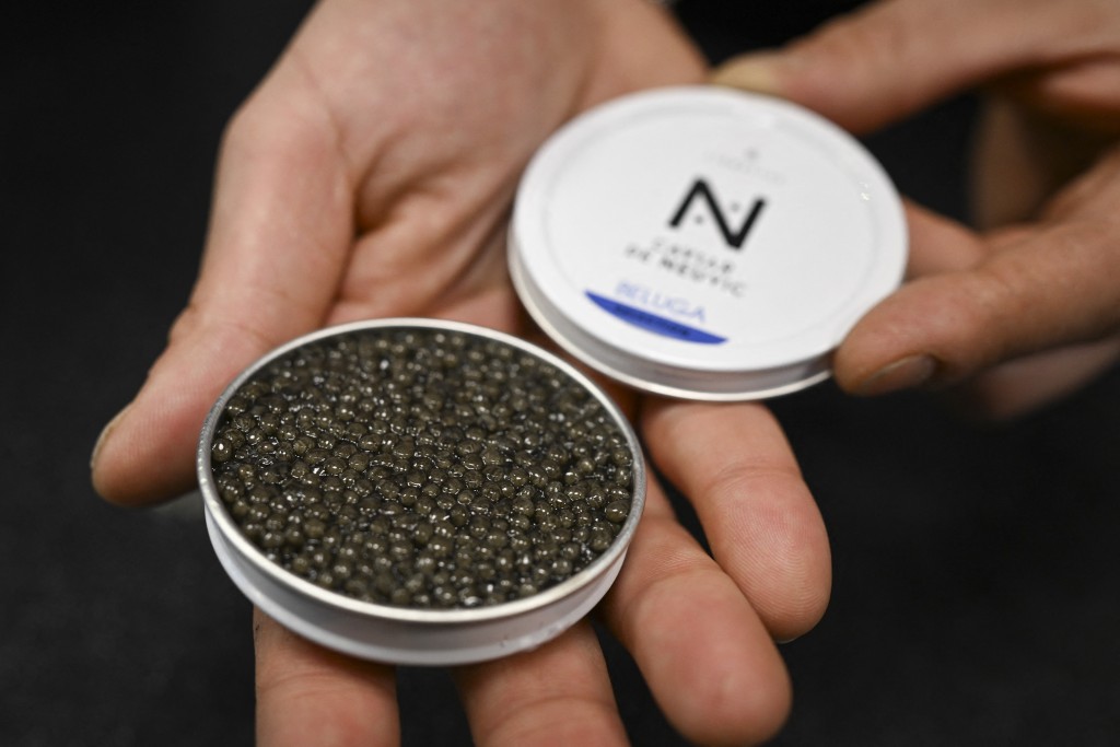 Photo by NIKOLAY DOYCHINOV / AFP  An employee shows an opened box of caviar at the Caviar de Neuvic boutique in Paris on December 11, 2025.