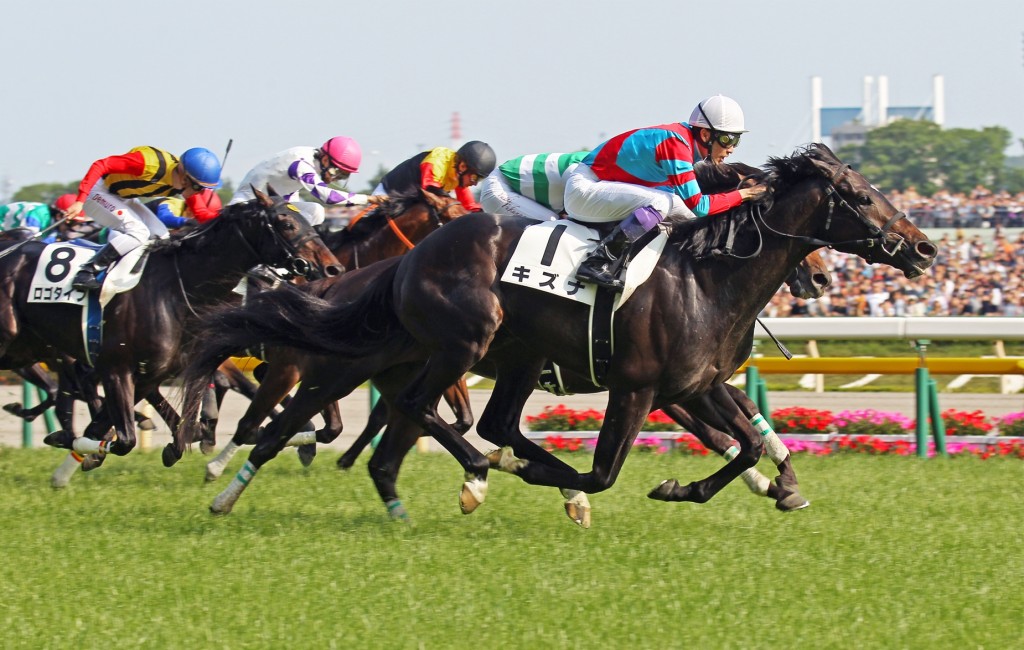 Yutake Take wins the 2013 G1 Tokyo Yushun on Kizuna, a son of legendary racehorse and sire Deep Impact. A win aboard Kizuna's son Satono Shining on Sunday would give him wins on three generations. SING TAO 