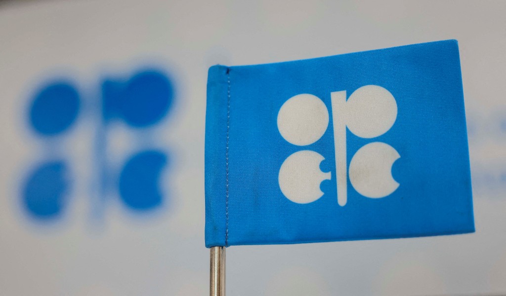 A view shows the logo of Organization of the Petroleum Exporting Countries (OPEC) during the United Nations climate change conference COP29, in Baku, Azerbaijan November 13, 2024. REUTERS/Maxim Shemetov/File Photo