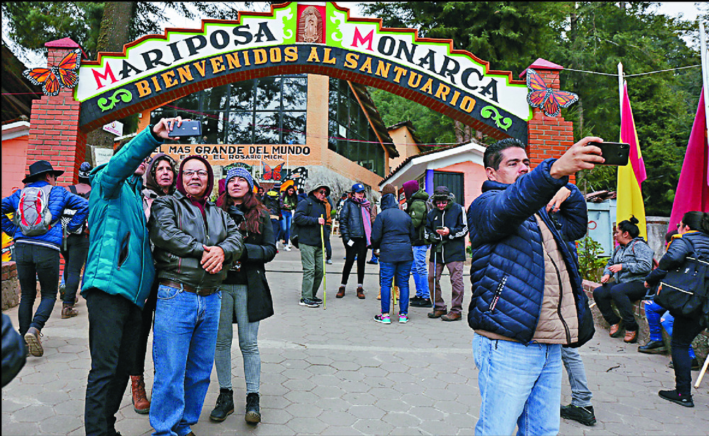 Homero Gomez was believed to have been killed for his efforts to protect El Rosario monarch butterfly sanctuary. Homero Gomez was believed to have been killed for his efforts to protect El Rosario monarch butterfly sanctuary.