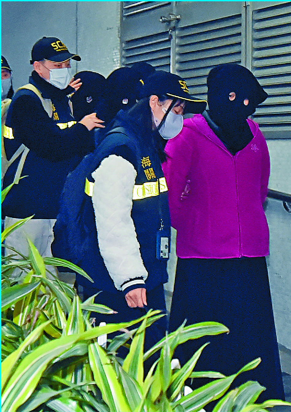 The suspects are led out of Whampoa Garden in Hung Hom following a police raid. The suspects are led out of Whampoa Garden in Hung Hom following a police raid.