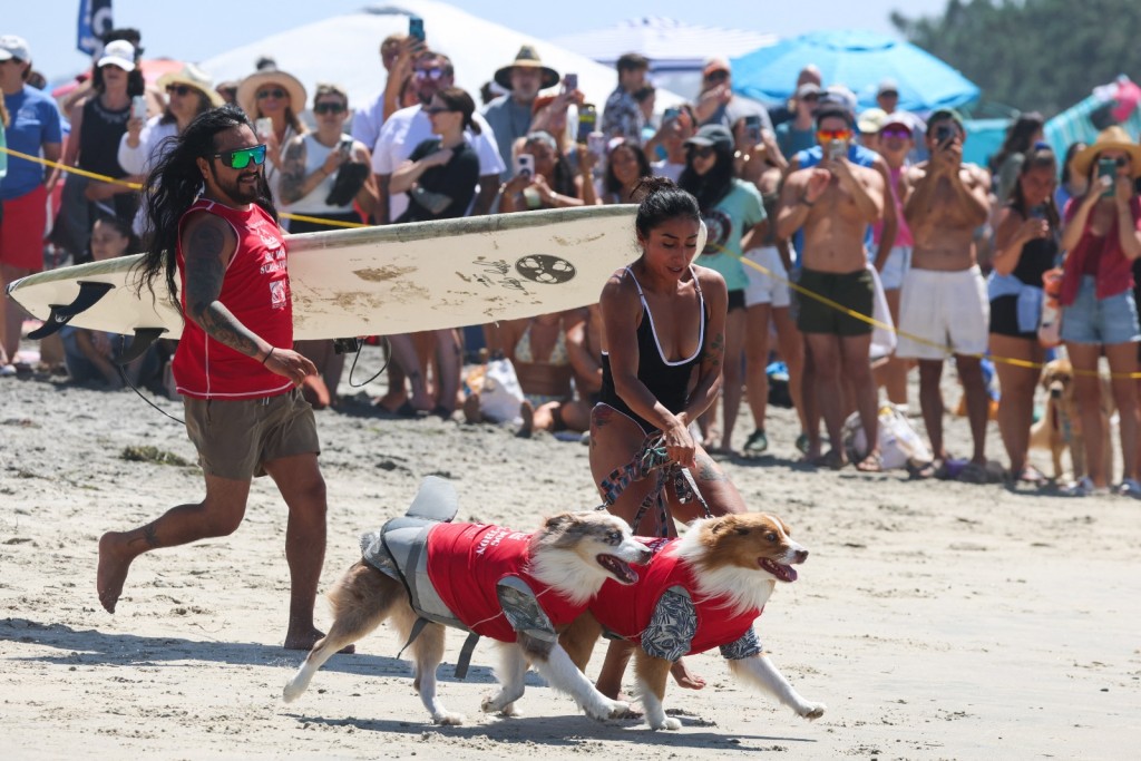 (Photo by Patrict T. FALLON / AFP)
