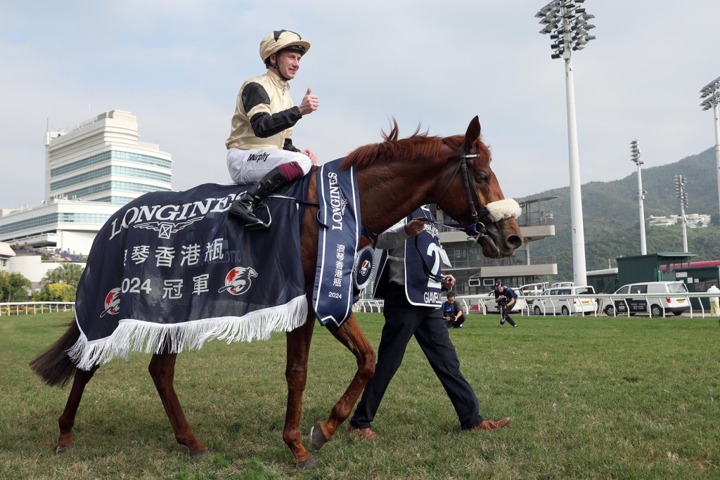 2024 Hong Kong Vase winner Giavellotto. HKJC