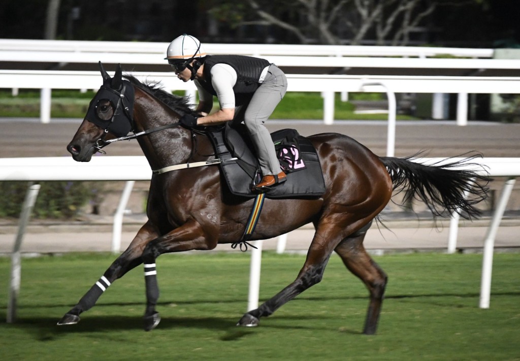 Ka Ying Rising stretches out in the early hours of this morning (Sing Tao) 