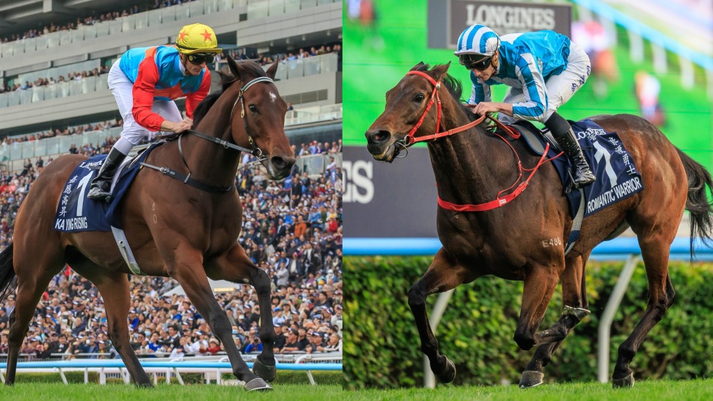 Ka Ying Rising and Romantic Warrior starred at HKIR. Grant Courtney/Idol Horse. 