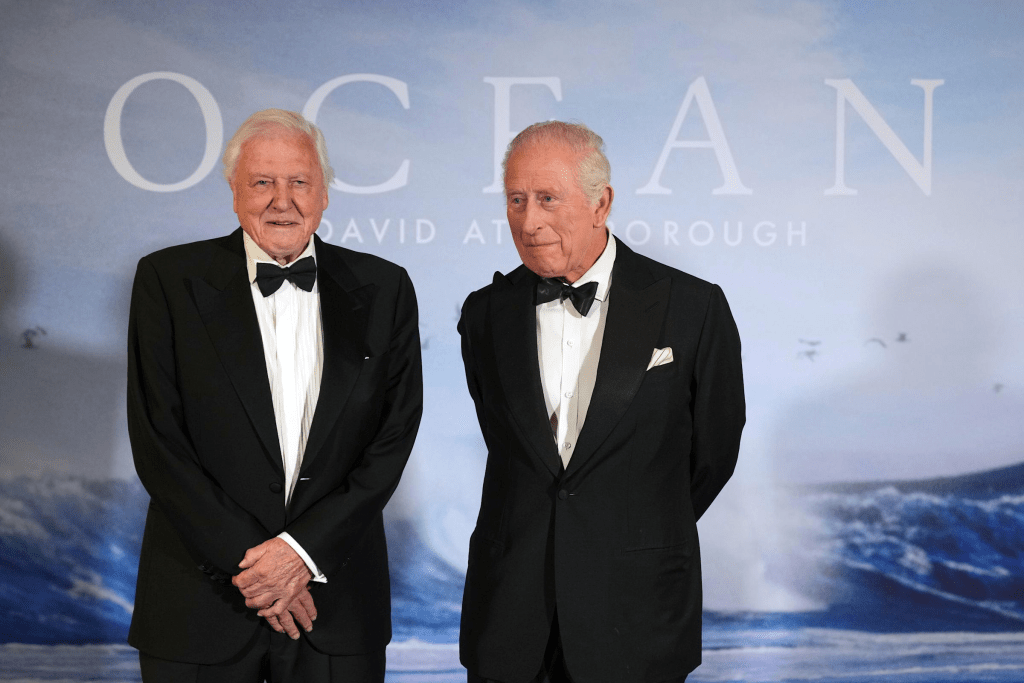 FILE - Britain's King Charles III meets broadcaster and biologist David Attenborough, left, as he attends the "Ocean with David Attenborough" film premiere in London, May 6, 2025. (AP Photo/Alastair Grant, Pool, File)
