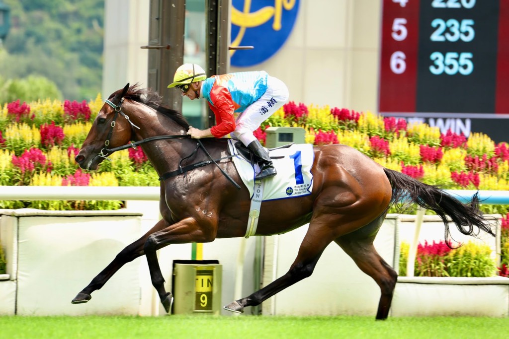 Ka Ying Rising. Twenty-one straight wins in track record time. Sing Tao.