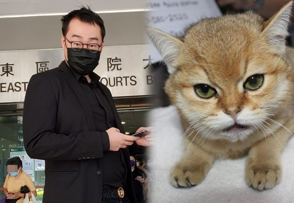 Lan Tianqi is convicted of cruelty to animals. File photo.
