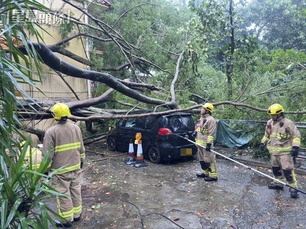 Firefighters were dispatched after receiving reports of fallen trees in Tai Wai.