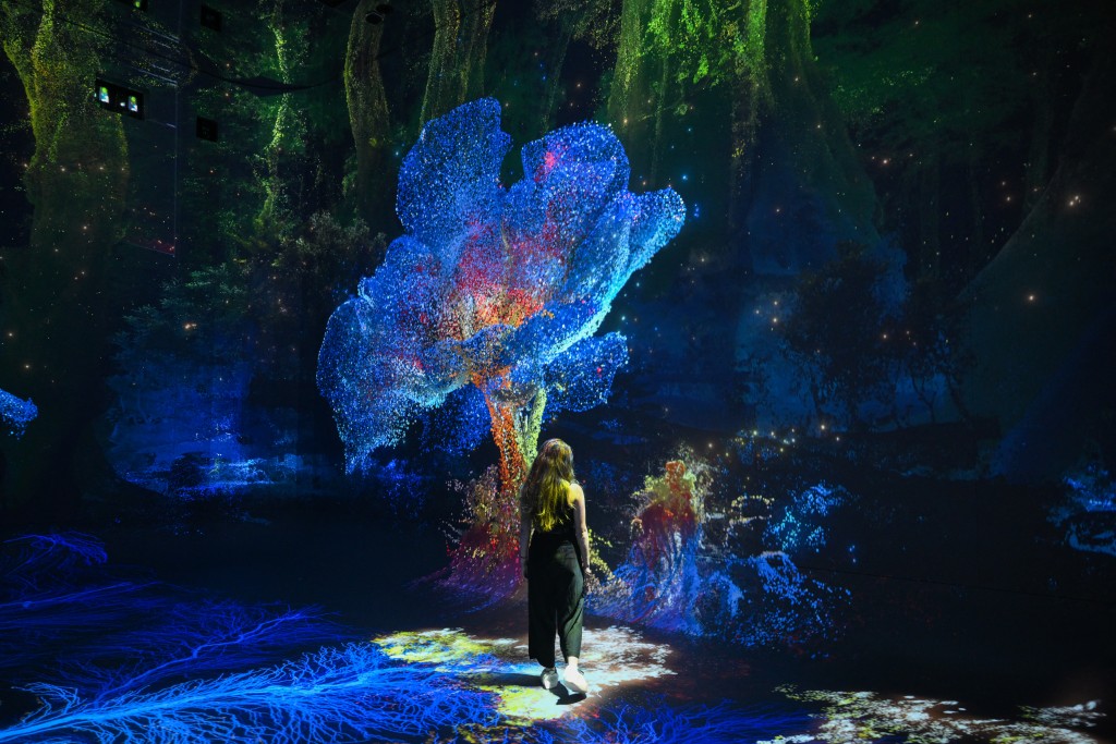 Photo by PATRICK T. FALLON / AFP  A person walks through immersive visualizations from the inaugural exhibition Machine Dreams: Rainforest are projected at DATALAND, the Museum of AI Arts, in Los Angeles, California on June 9, 2026.