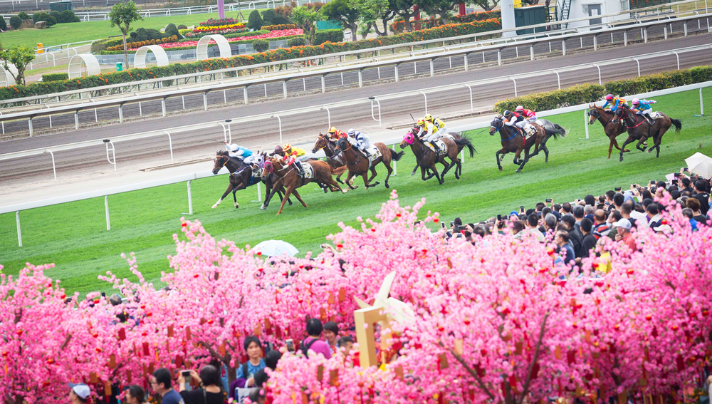 2024 Chinese New Year raceday