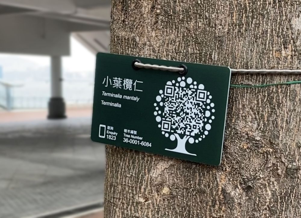 Tree management officer Paula Chan Yuen-man said that putting QR code on the tree tags aimed at helping citizens to report tree problems. Tree management officer Paula Chan Yuen-man said that putting QR code on the tree tags aimed at helping citizens to report tree problems.