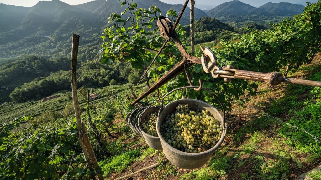 The Heroic Viticulture at Valdobbiadene. Consorzio Tutela del Vino Conegliano Valdobbiadene Prosecco Superiore