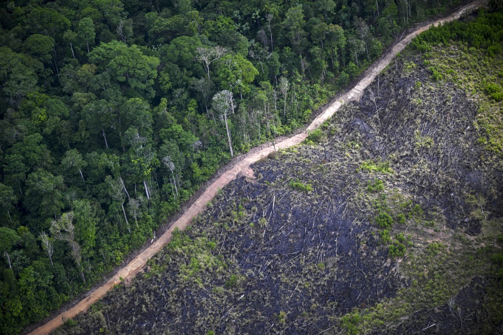 This aerial view shows a deforested area of the Amazon rainforest in the surroundings of Belem, Para State, Brazil, on November 12, 2025, during the COP30 UN Climate Change Conference. (Photo by Mauro PIMENTEL / AFP)