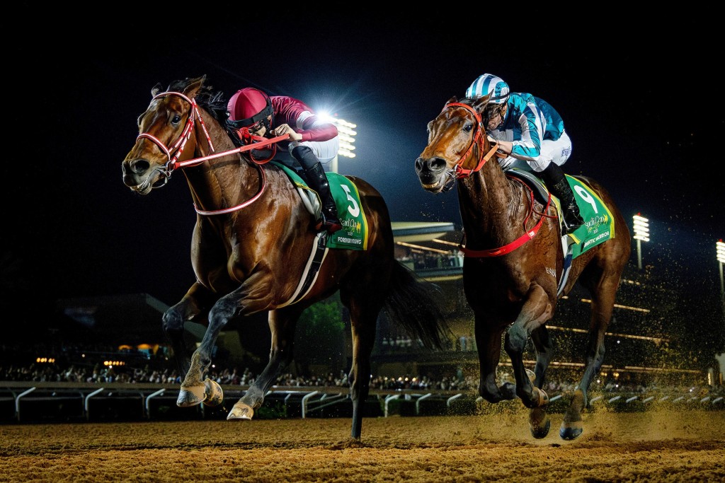 Forever Young edges out Romantic Warrior in one of the most famous races of all time. Danny Shum says his horse will not be heading overseas again this season. Singtao