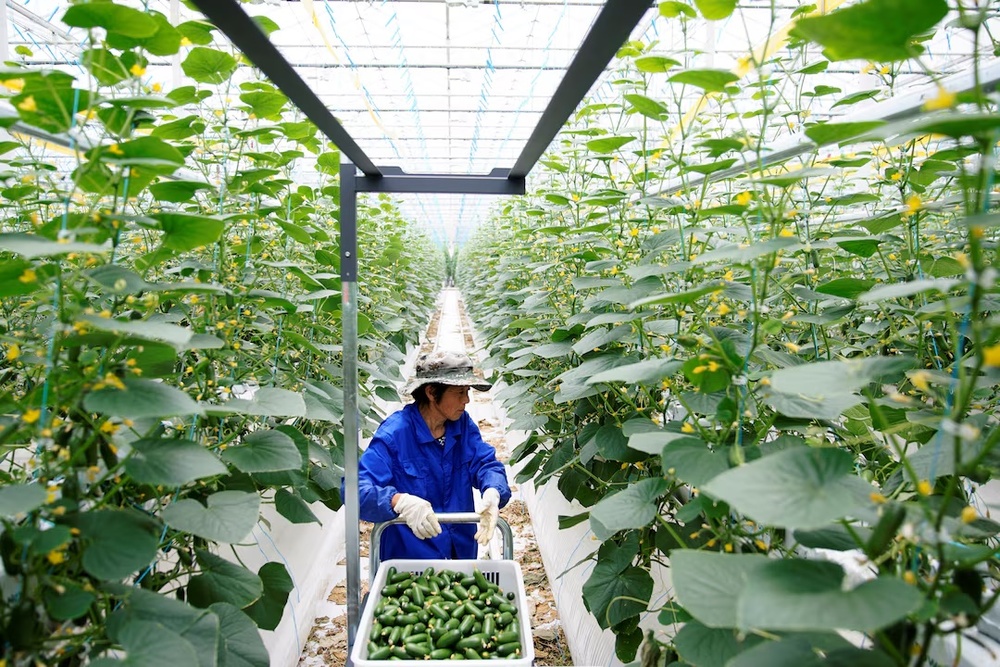 【希少】食糧超大国 Will There Be Enough Food? Food security more than just grain self-sufficiency